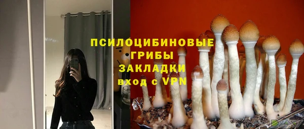 кокс Баксан