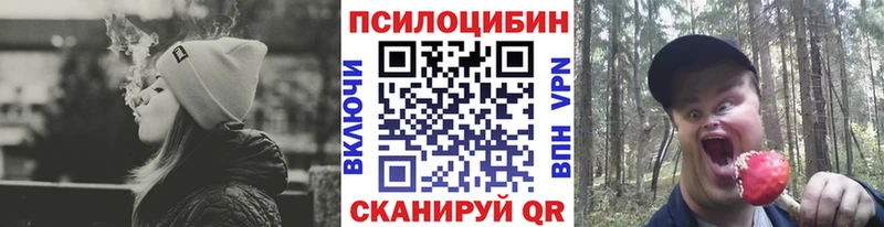 МЕГА ссылка  Пойковский  Галлюциногенные грибы ЛСД 