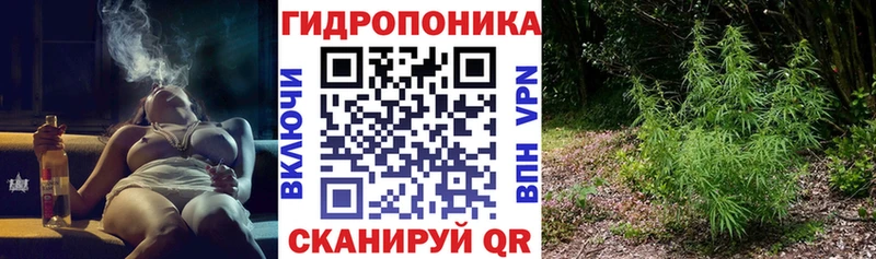 OMG ТОР  как найти закладки  Пойковский  МАРИХУАНА план 